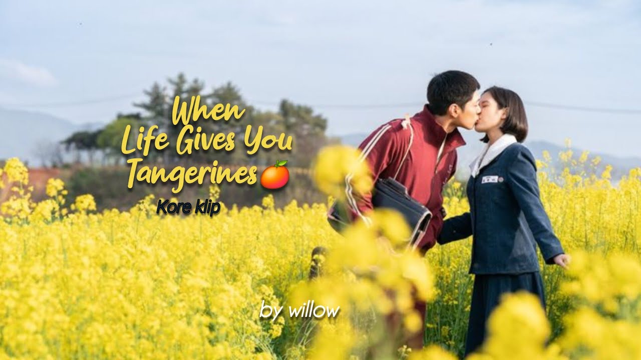 Kore Klip// Asla Evlenmem Dediği Adalıyla Hayatlarını Birbirlerine Adadılar (wlgyt 🍊💄)