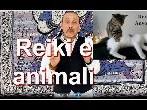 Come fare Reiki agli animali