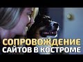 Сопровождение сайтов в Костроме: поддержка и обслуживание