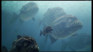 Megapirana 2010 Cz Dabing