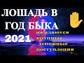 Лошадь в год 2021, год Металлического Быка