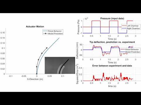 Robotic fish modeling
