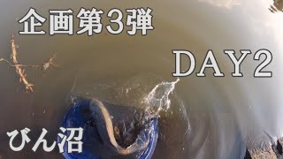 【ヘラブナ釣り】企画第３弾２日目！ヘラブナを釣って合計１００cmを超えろ！【継続中】