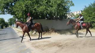 20160708 103337
