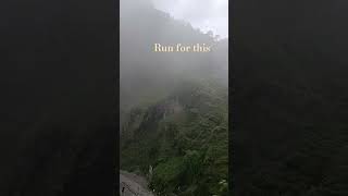runaway#mountains #uttarakhand #scenery #jungle #savewildlife