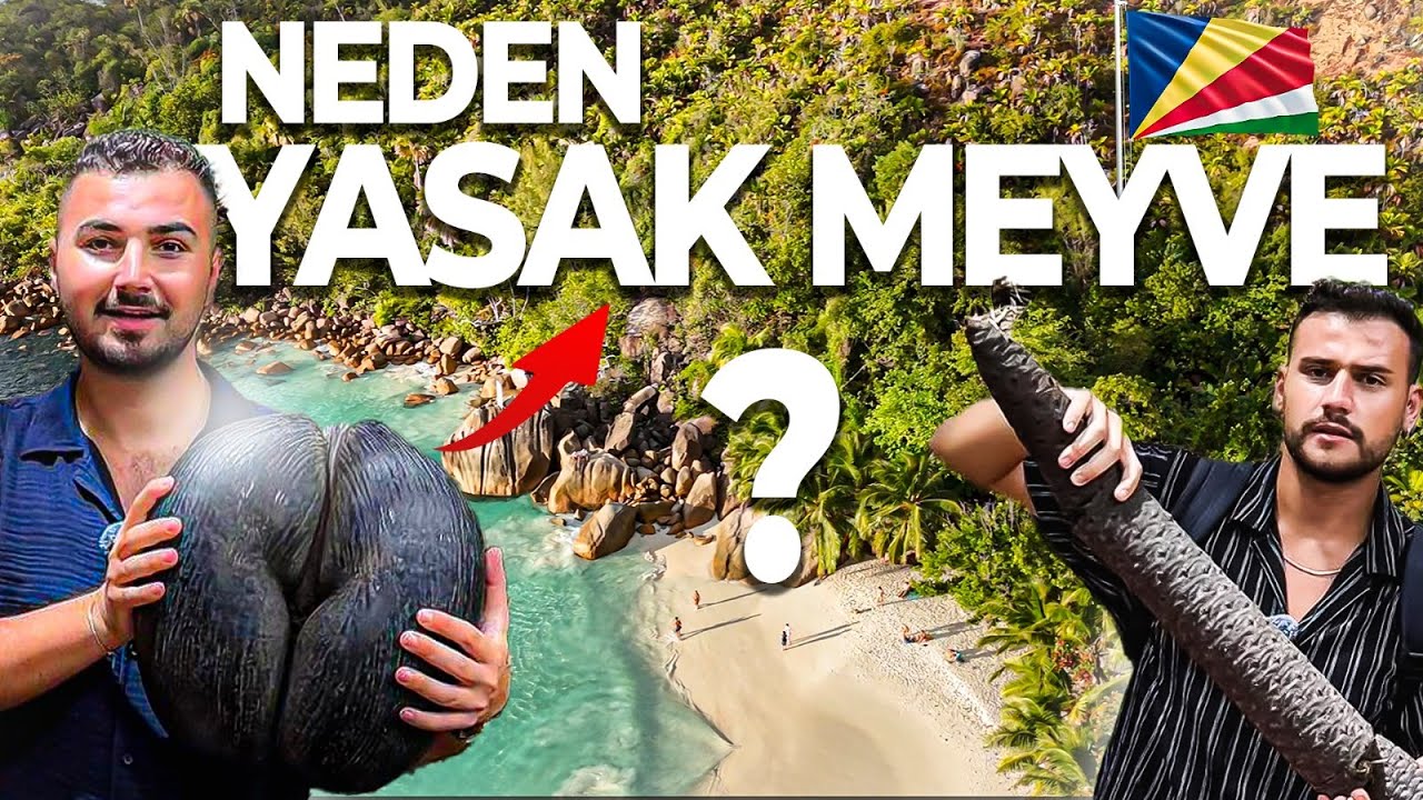 Dünyanın EN İLGİNÇ Meyvesi - Seyşeller 2. Bölüm