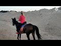 Скачки верхом на лошадях по пляжу в Египте! Это под силу каждому! :)