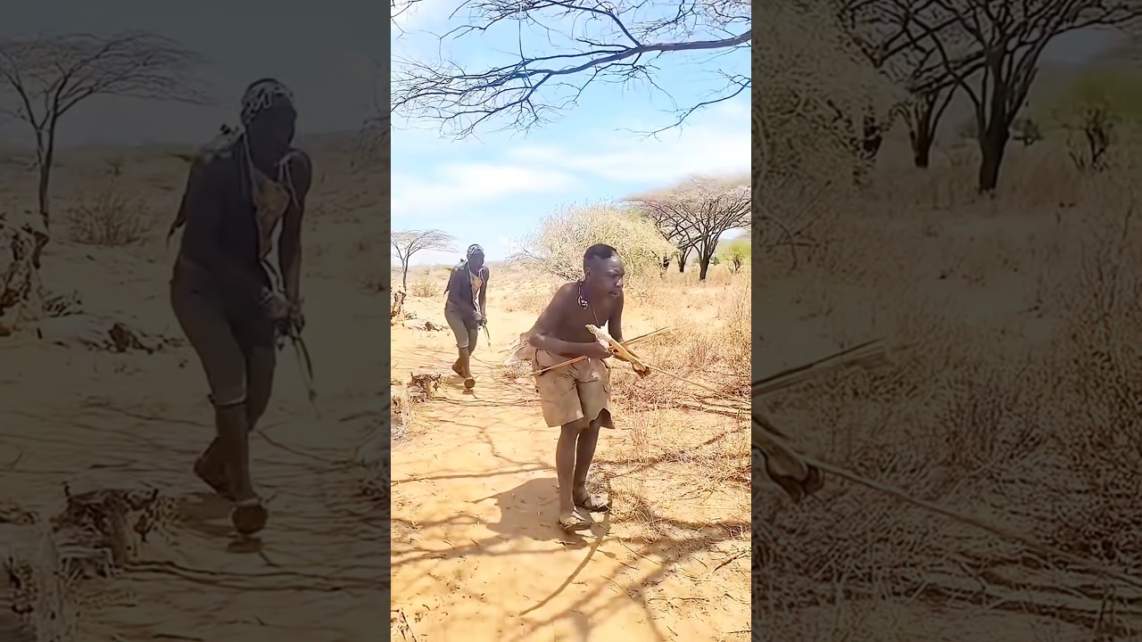 They Stayed Still and Watched… What Followed Changed Everything | Bush Awareness! | सब कुछ बदल गया