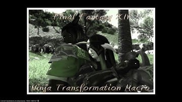 Final Fantasy XIV Ninja Transformation
