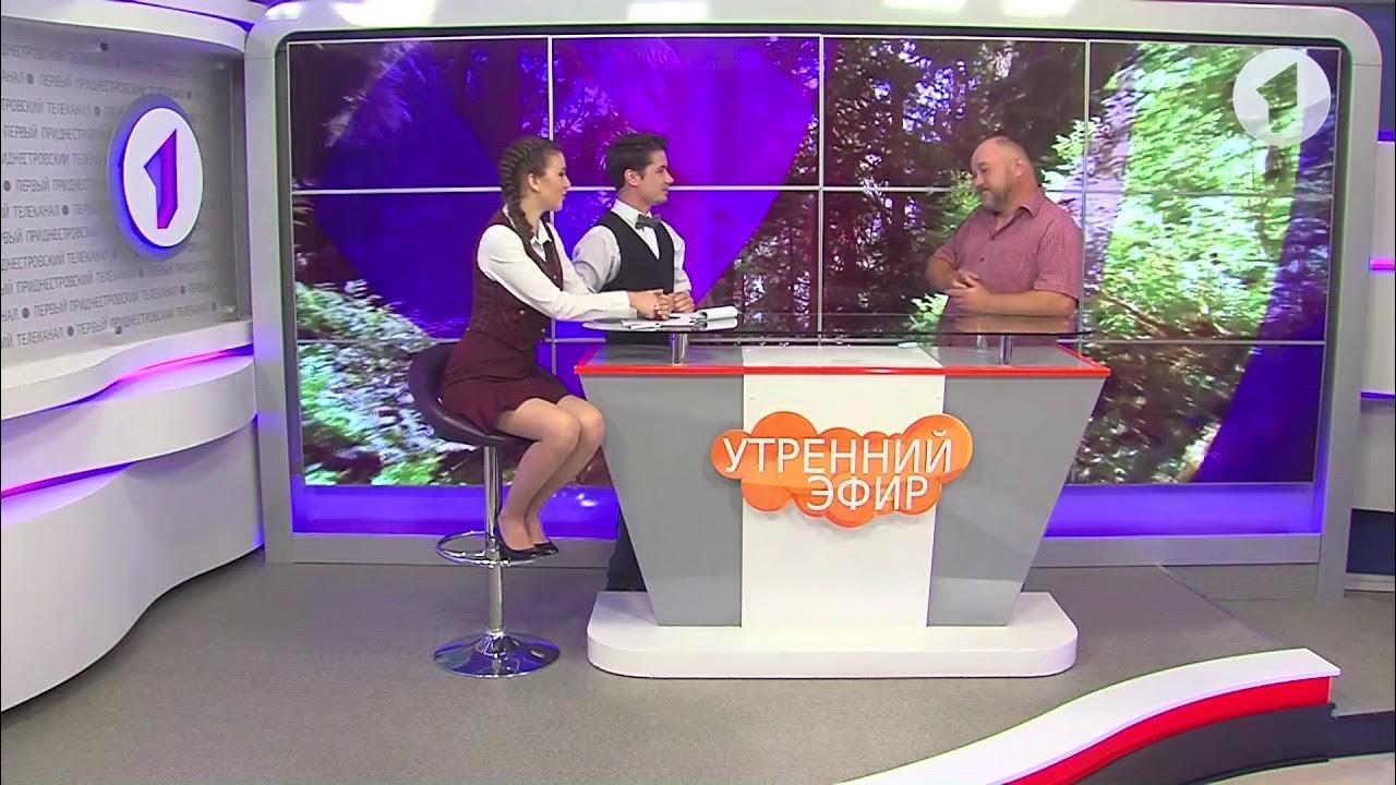 ведущая утренней программы. стецюк сочи. открой утренний эфир. казань тнв ведущие доброе утро. открой утренний эфир.