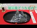 盆石の片付け方/How to clean up bonseki【細川流盆石/bonseki】