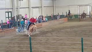 Full WRHA Pro/Am Benefit Class - Pattern 5 News