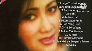 Download Lagu 12 Lagu Trisna Levia MP3