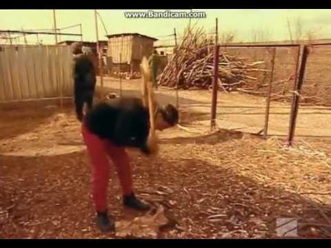 ქუჩის მუსიკოსები(გორი) - მოდი წავიდეთ... -პროფილი