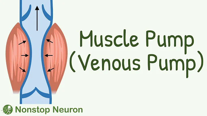 You Will Start DAILY EXERCISE After Watching This Video || Muscle Pump (Venous Pump)