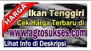 |Update 2024| Pusat Informasi Terbaru Harga Ikan Tenggiri RP, Penjual Pembeli