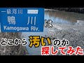 【ややこしい】鴨川はどこから汚いのか探してみた