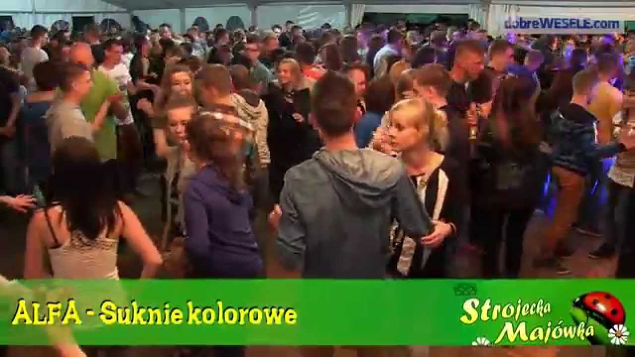 ALFA - Strojecka Majówka 14