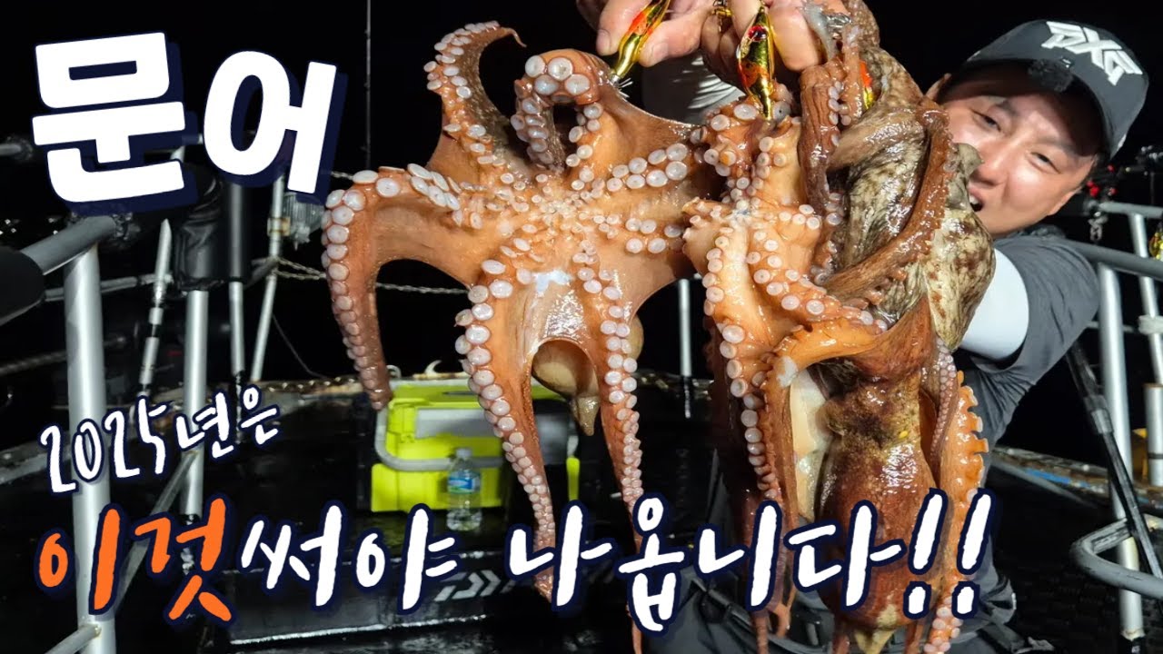 쌓여있는 문어들이 환장하고 나옵니다!! 이건 무조건 꼭 챙기세요!