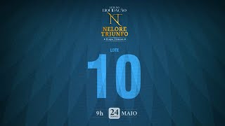 LOTE 10