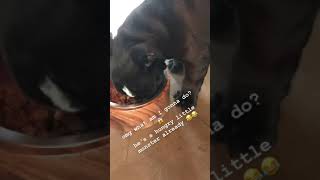 18 10 2018 - Bill Kaulitz Instagram Stories I & II