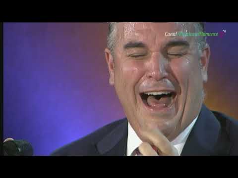 Seguiriya. Manuel Romero El Cotorro. 2018