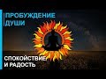 ☯ Музыка для Пробуждения Души ☯ Внутреннее Спокойствие и Радость ☯