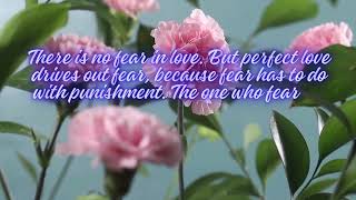 There is no fear in love. 1 John 4: 18-19