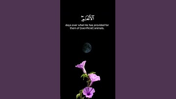 تلاوات خاشعة #quran #اكسبلورexplore #القرآن_الكريم #الله #تلاوة_خاشعة #راحة_نفسية #قرآن