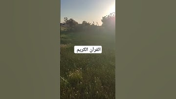 القرآن الكريم بصوت جميل #قرآن #اكسبلور #القرآن_الكريم #تيك_توك #quran #لايك #ترند #صباح_الخير