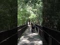 Into the Woods 🌿 #FamilyTime #NatureWalk #家族時間