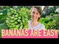 GROWING BANANAS IS EASY: Growing Food is Easy