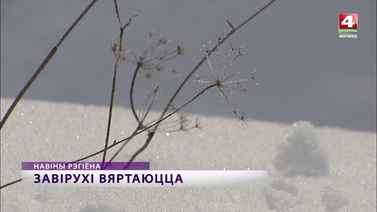 Беларусь 4 Могилев погода.