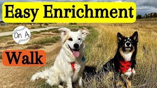 Easy Ways to Make Your Walk More Enriching