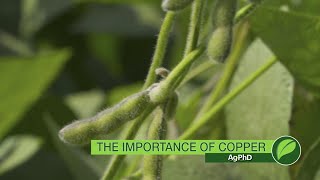 The Importance Of Copper #1023 (Air Date 11-12-17)