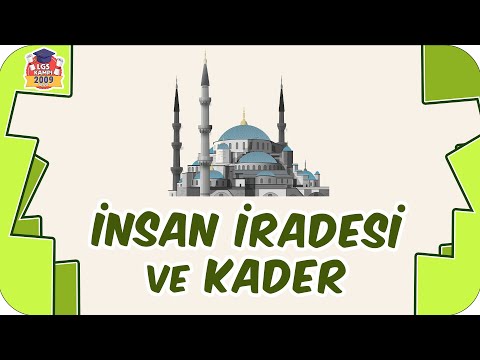 İnsan İradesi ve Kader 🛐 8. Sınıf Din #2023LGS