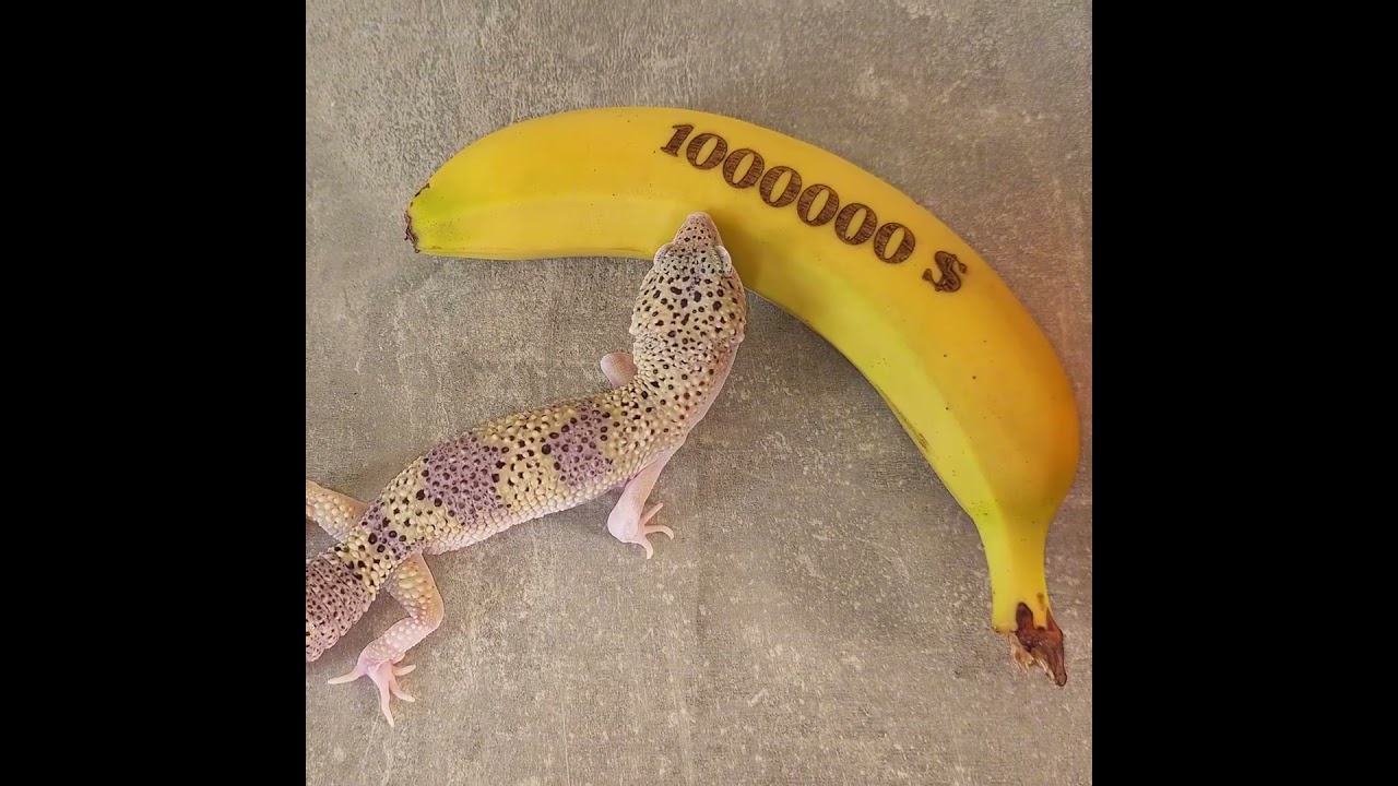 Как сделать миллион на банане? 🍌💰