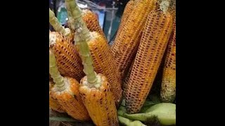 NDULULU-LUGBARA GOSPEL MUSIC ARUA