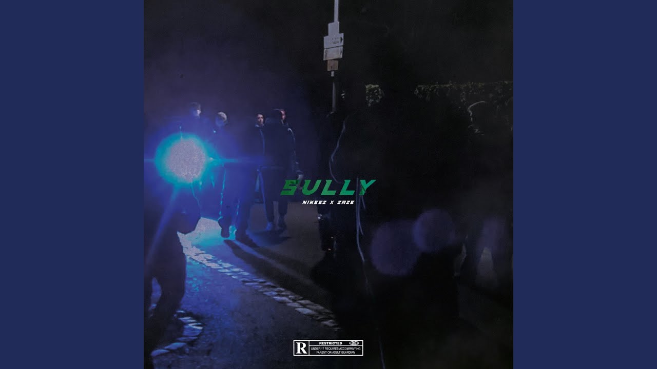 Guarda Sully su YouTube Guarda Sully su YouTube