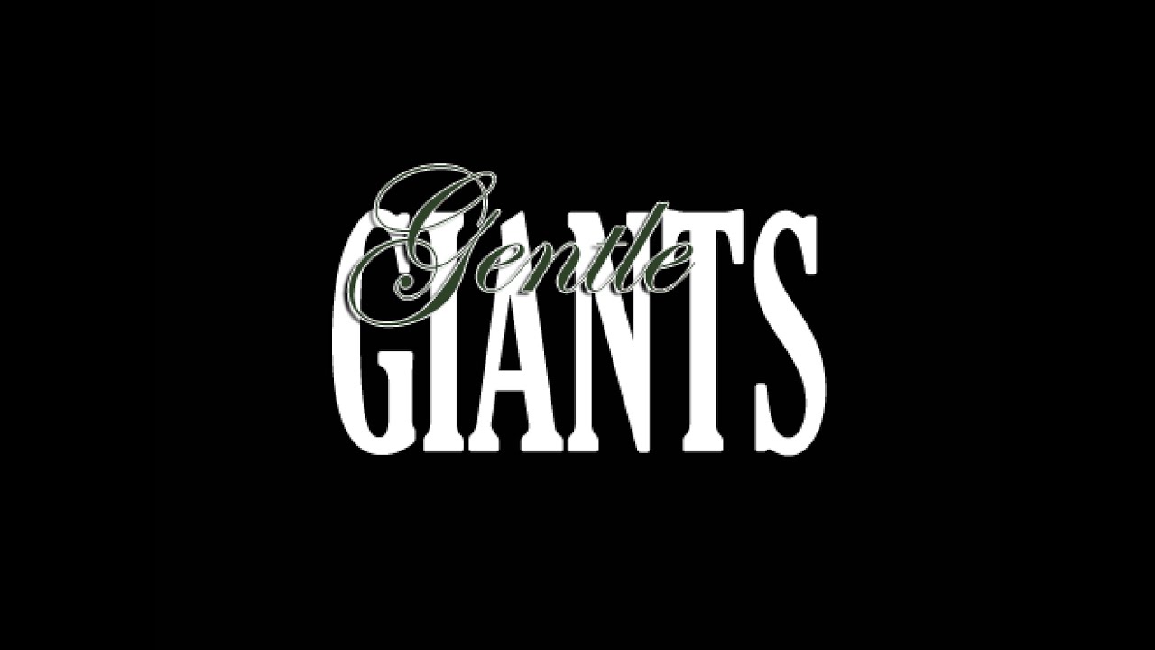 Waverly Sale horses and equipment Day 2 YouTube