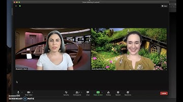 How to Use Slides as Virtual Background in Zoom