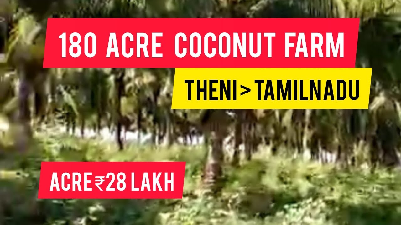 180 Acre Coconut Farm For Sale Theni Tamilnadu (Acre 28 Lakh) YouTube