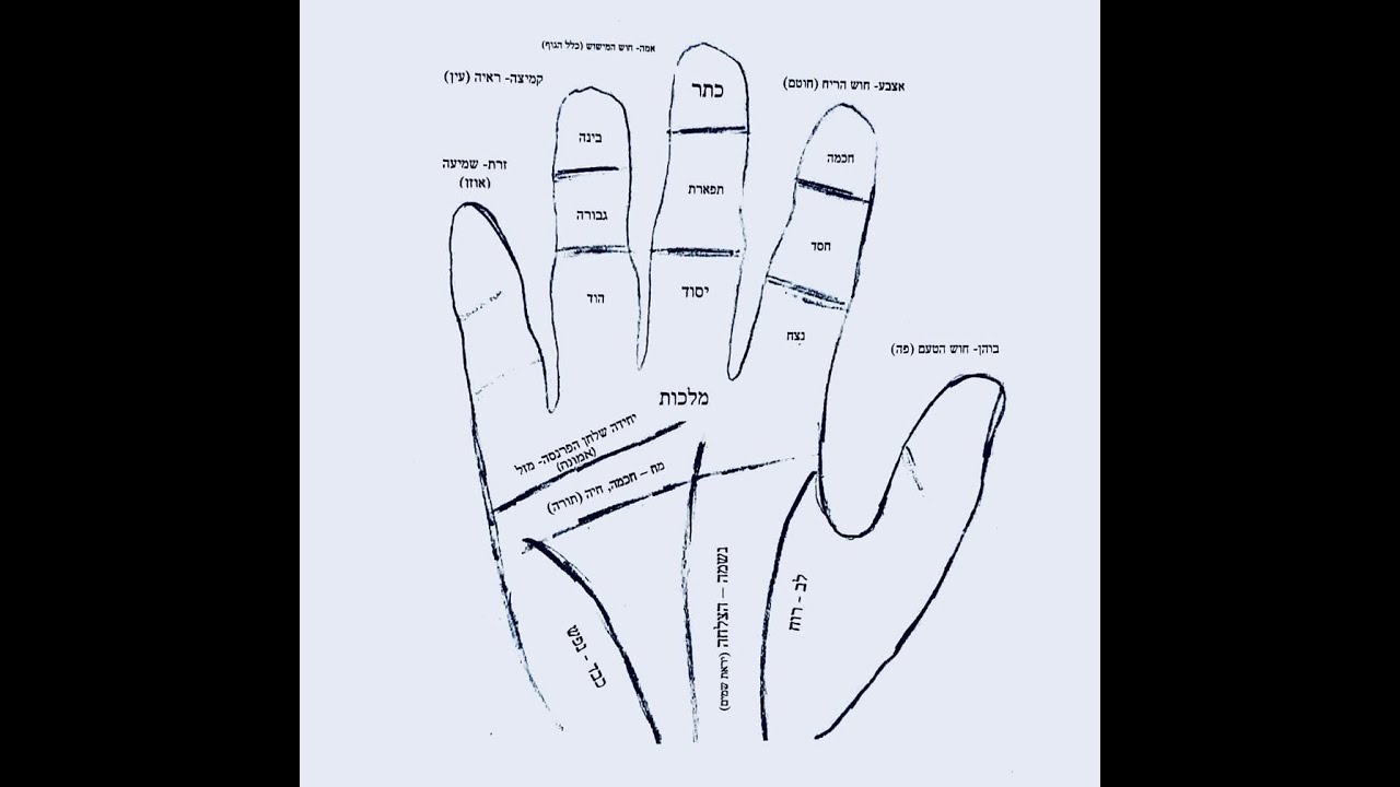 The Wisdom of Palm Reading Part 1 on Kabalah