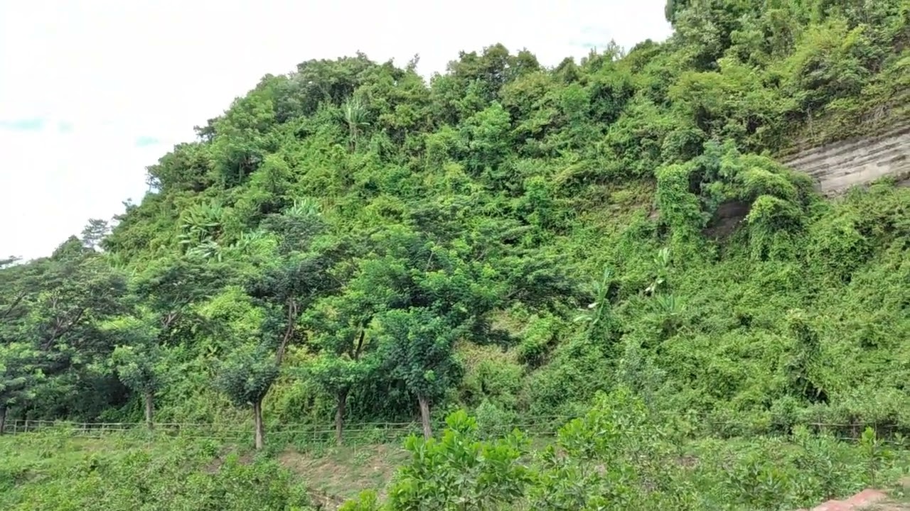 মায়া লেক | আলীকদম,  বান্দরবান | Maya Lake | Bandarban