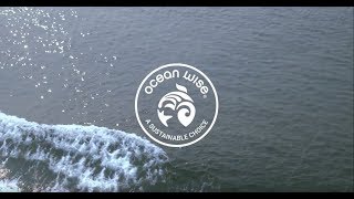 What Is Ocean Wise Seafood?