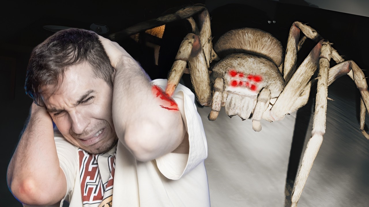 POV : There's A Giant Spider In Your Room(Huntsman)