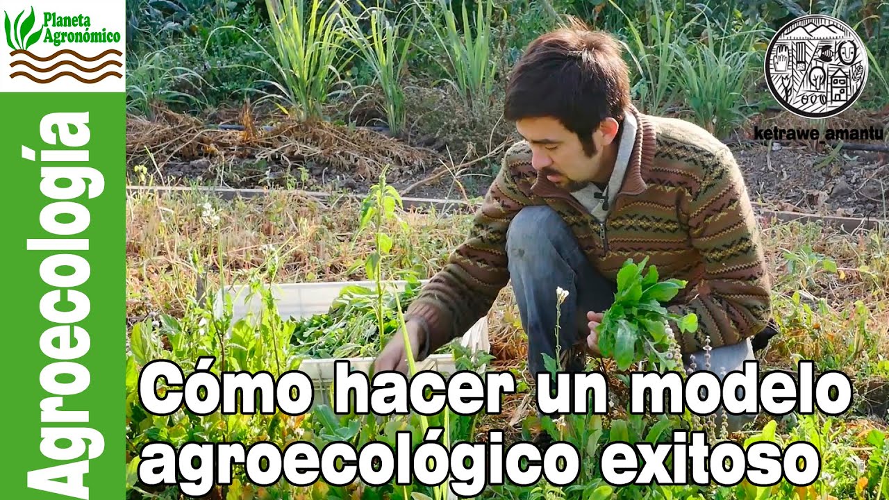 Experiencia Agroecológica de un Agricultor Orgánico 🍃😎