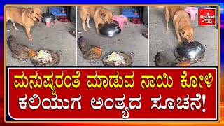 Viral News : Dog v/s hen / Big fight - who wins/ interesting video Kannada News Live Updates