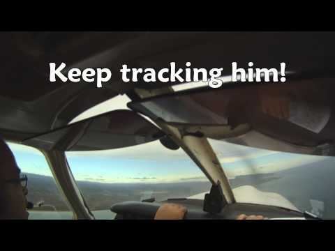 Near Miss: Piper Pa-28A evasive maneuver to avoid head on midair collision