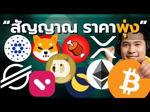 อัพเดทข่าว ETH, SOL, XRP, XLM,BONE,SHIBA,LUNC,ADA: ข่าวใหญ่ล่าสุด! หลัง PayPal, BBVA เข้าร่วม